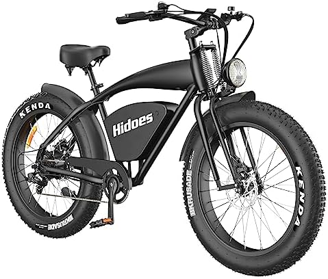 electric bike