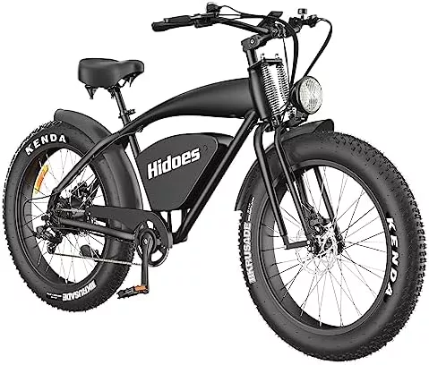 1200W Electric Bike for Adults, 26" Fat Tire Ebike with - Travel With Glen electric bike