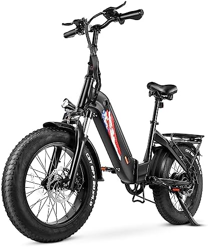 Electric bicycle