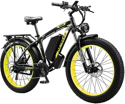 electric bike