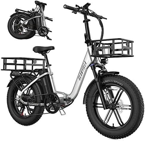 Electric cargo bike