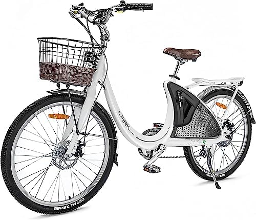 Electric city bike