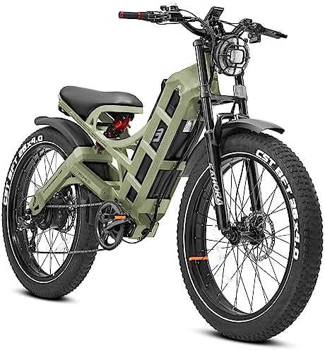 Electric hybrid bike