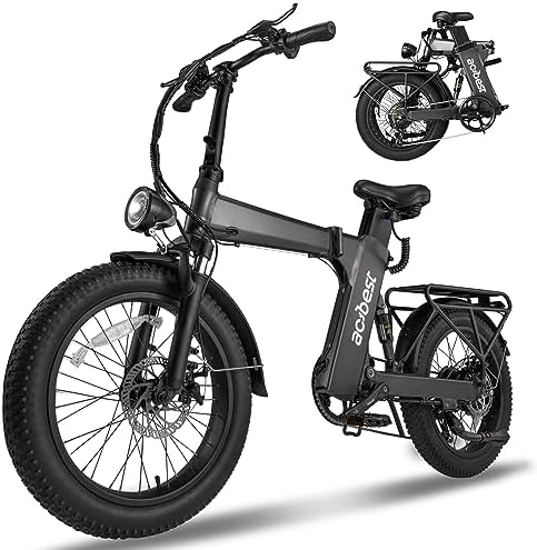 Electric cargo bike