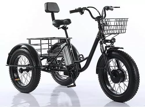 CNAOHGHN 500W Motor Electric Tricycle, 48V Removable Battery Fat Tire - Travel With Glen Electric trike
