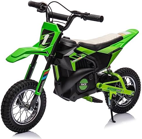 Electric two-wheeler