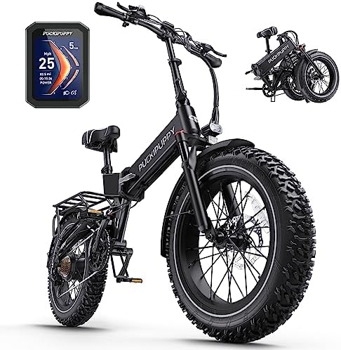 Electric mountain bike