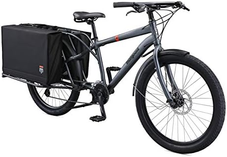 Electric cargo bike