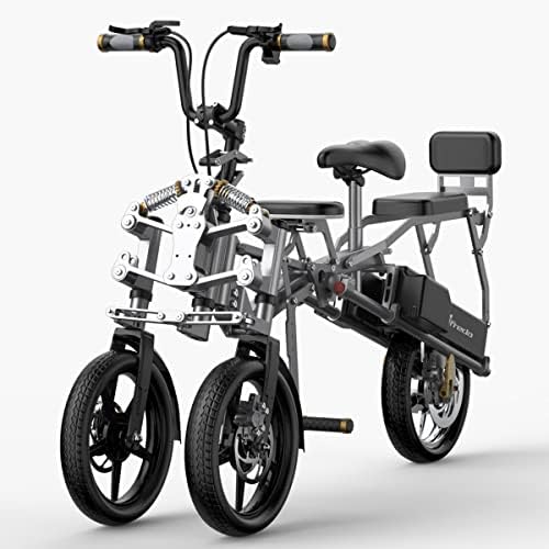 Electric trike