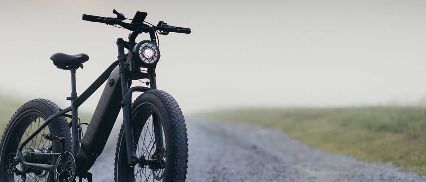 e bike