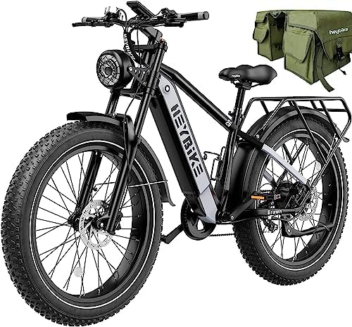 Electric bicycle