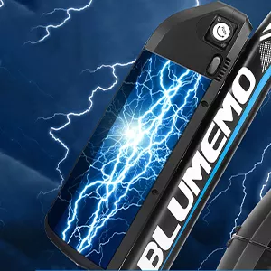 Removable 48V Battery