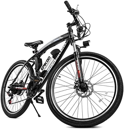 Electric mountain bike