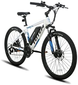 Electric mountain bike