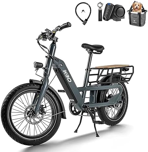 Electric hybrid bike