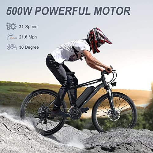 Wooken Electric Bike