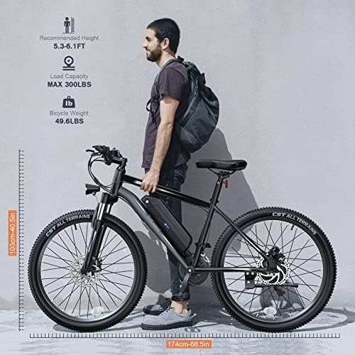 Wooken Electric Bike