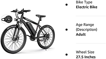 Wooken Electric Bike