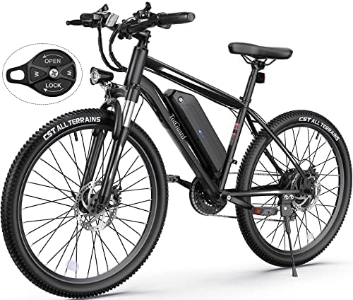 Electric hybrid bike