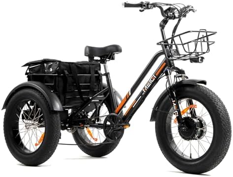 Electric trike