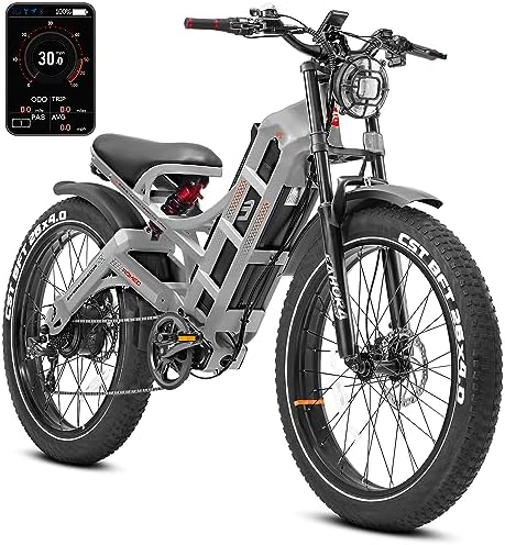 E-bike