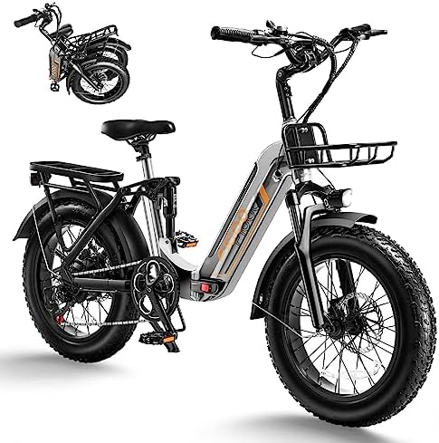 Electric folding bike