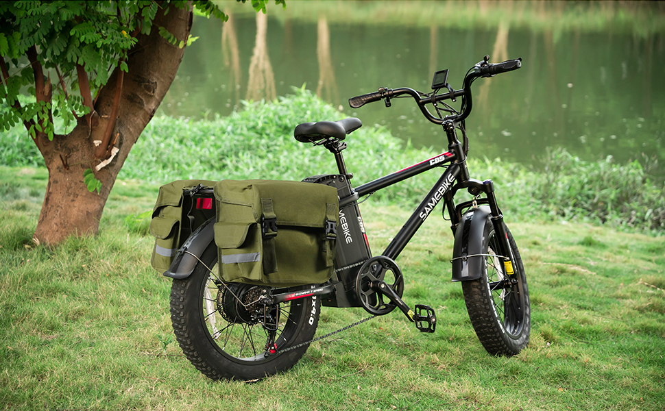 Electric Bike for Adults