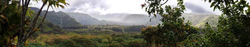 maui travel guide books