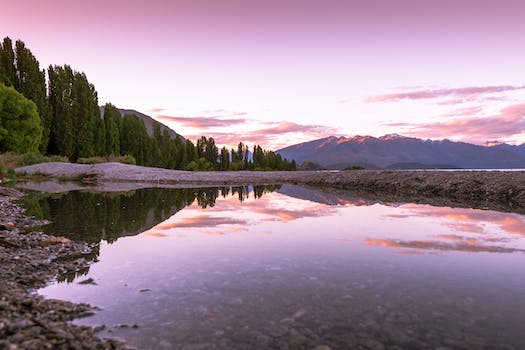 tekapo travel guide