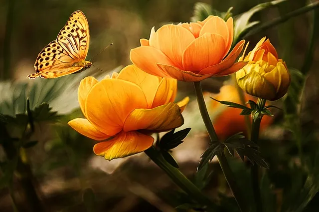 The Rising Popularity of Orange Wine