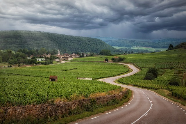 Ideal Combinations for Aged Burgundy