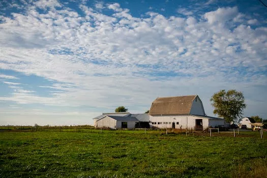 Top College Towns in the Midwest: A Perfect Blend of Football, Food, and Fine Arts