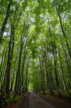 Exploring the East Coast Greenway: A Journey Rooted in Community