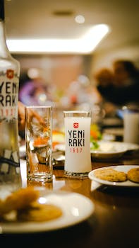 Discovering Raki: Unveiling Turkey's Beloved National Drink