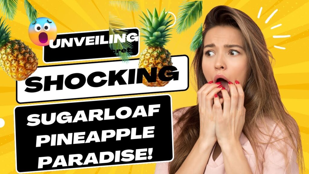 Unveiling the Sweet Secrets Exploring the Sugarloaf Pineapple Paradise! #ExploringOrigins #sugarloaf - Travel With Glen