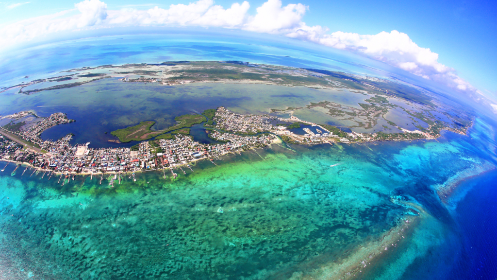 Belize Barrier Reef marine life