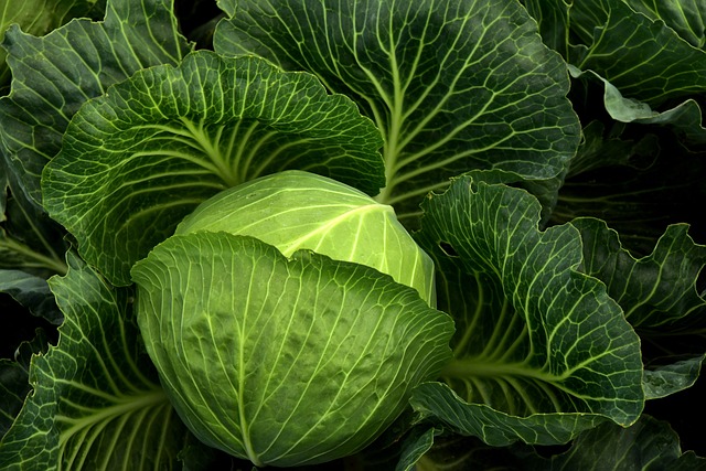 Delicious Recipes We Made This Week, Including Fall-Apart Cabbage