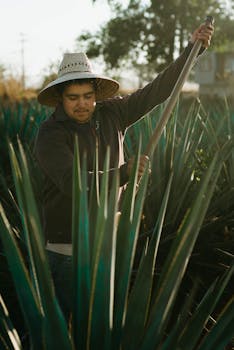 Discover Eight Must-Try Mezcals