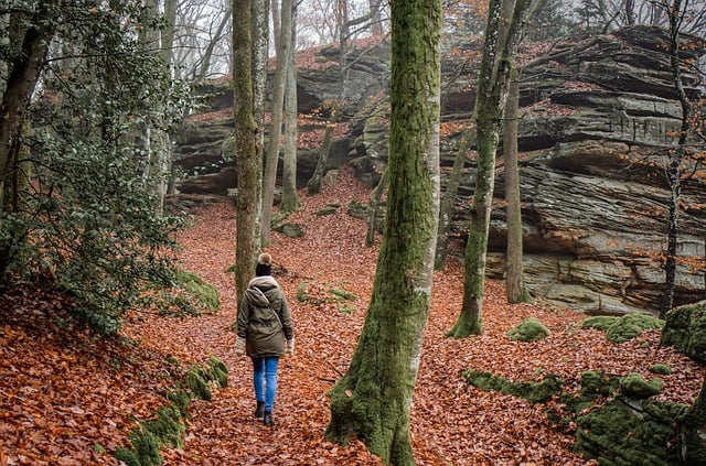 Hiking and Humor: Laughing Along the Trail with Matt Lyons