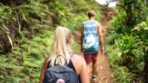 Hikers Debate Over Horse Manure On Trails. Here’s the Scoop.