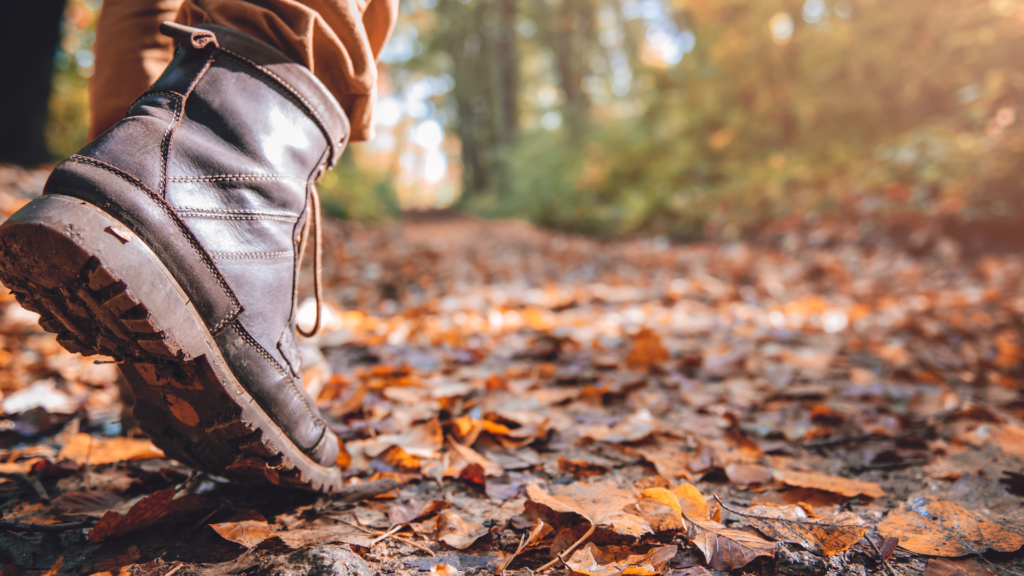 Hikers Debate Over Horse Manure On Trails. Here’s the Scoop.