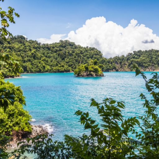 Jungle and beach at Manuel Antonio