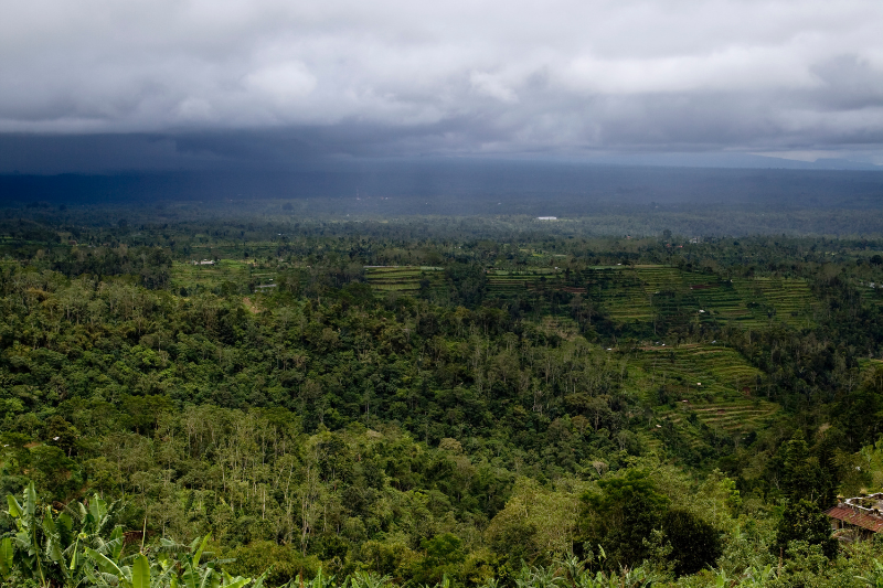 Bali