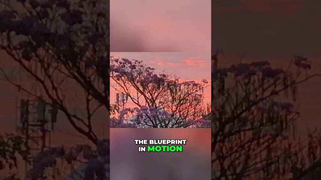 Video thumbnail: pink sunset behind tree branches, overlaid with 'THE BLUEPRINT IN MOTION' in white and green text.