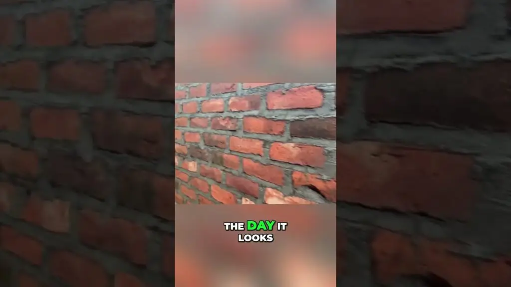 Blurry vertical frame of a red brick wall with the caption 'THE DAY IT LOOKS' and the word 'DAY' highlighted in green.