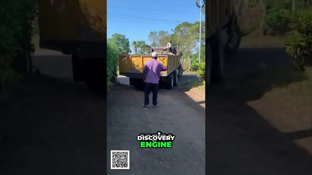 Travel With Glenn Beyond Travel Building Your Ecosystem shorts - Travel With Glen Man in a purple shirt stands on a dirt road facing a yellow dump truck; two people are on the truck's bed inspecting or unloading it.
