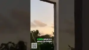 Doorway opening to a sunset sky with trees visible; bold green and white text reads 'COPY EXACTLY WHAT I'M DOING' with a QR code in the bottom-left corner.