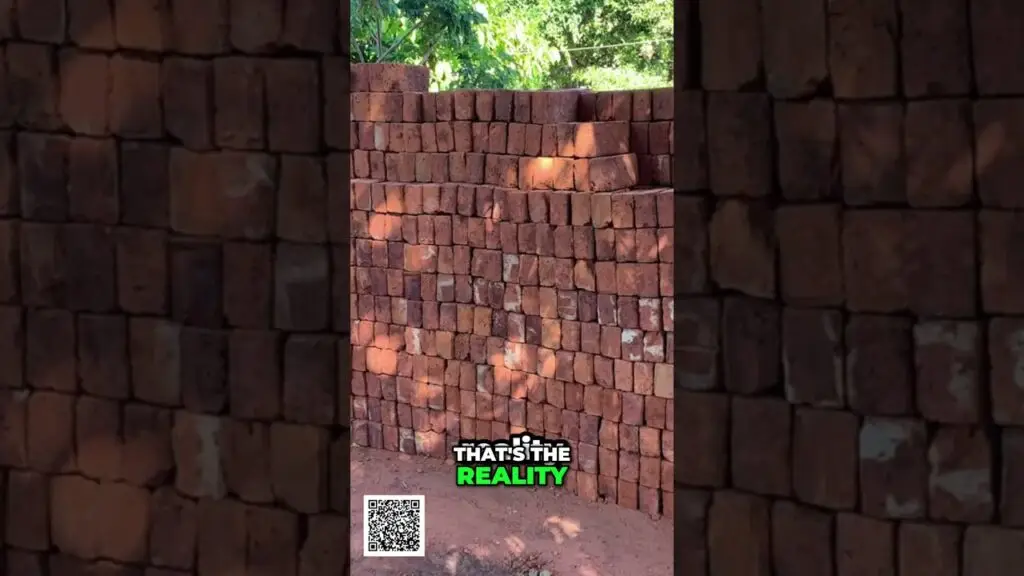 Stacked red bricks forming a curved wall outdoors, with a bold meme caption 'THAT'S THE REALITY' and a QR code in the bottom-left corner