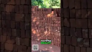 Stacked red bricks forming a curved wall outdoors, with a bold meme caption 'THAT'S THE REALITY' and a QR code in the bottom-left corner