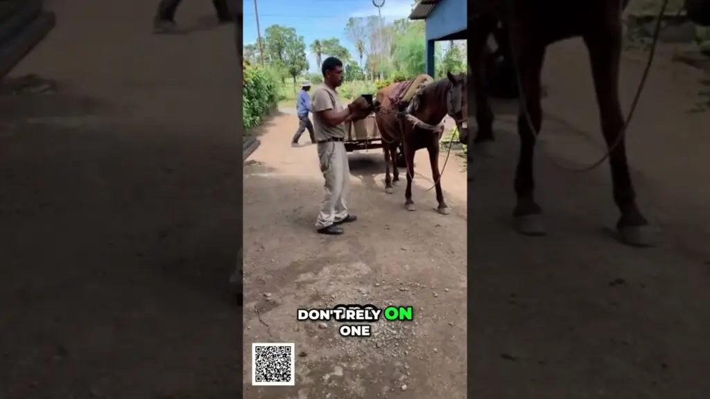 Multiple Income Streams Dont Make This Mistake shorts - Travel With Glen Man in beige ties a horse to a cart on a rural dirt road; text reads 'DON'T RELY ON ONE' with 'ON' in green; QR code bottom left.